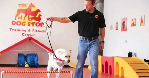 The Dog Stop Franchise is Coming to Chicago, IL!
