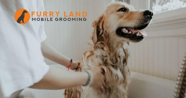Furry Land Mobile Pet Grooming Franchise Rolls into New Jersey