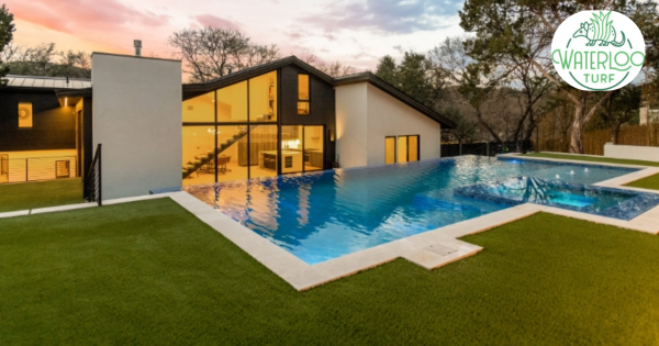 Waterloo Turf Franchise Success Story in Denver