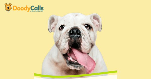 DoodyCalls Franchise Awards Indianapolis Territory