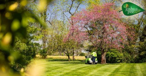 Joshua Tree Experts franchise expansion in Columbus, OH, highlighting professional tree care and lawn maintenance services