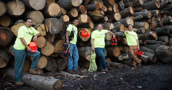 IFPG Member Monster Tree Service is Cutting Down their Competition with THREE Recently Closed Deals!