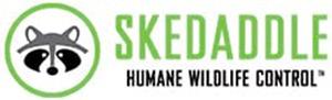 Skedaddle Franchise Logo